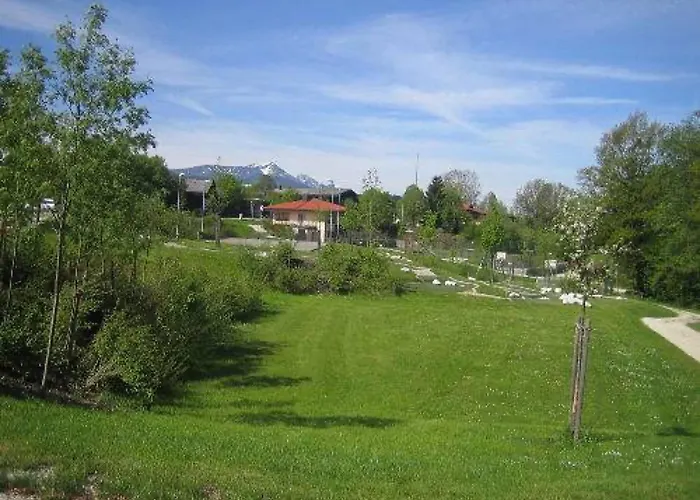 Amrhein *