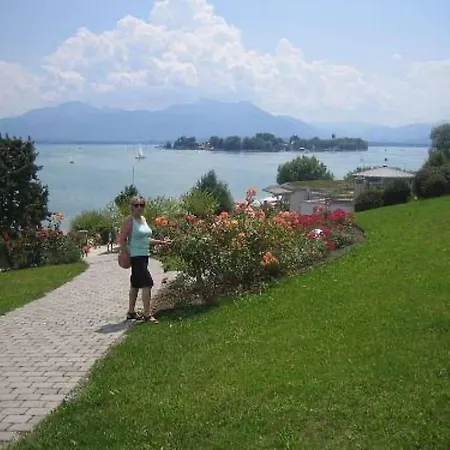 Amrhein *