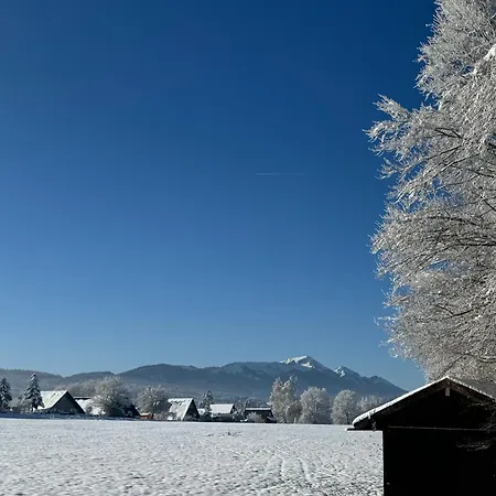 Casa de Férias Amrhein *